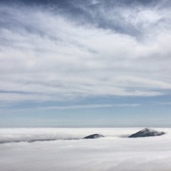 Watching the Fog Spill