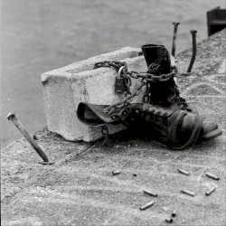 Harm Assist / Doubt Split