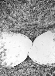 A Good Time to Start Something New