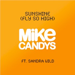 Sunshine (Fly So High)