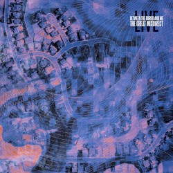 The Great Misdirect Live