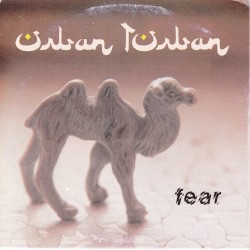 Fear