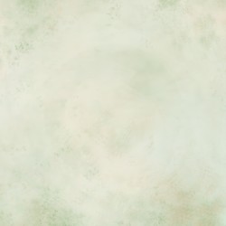 Drones_ 1