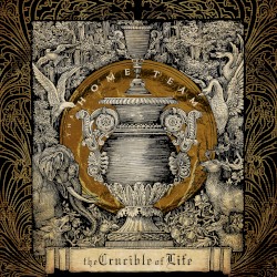 The Crucible of Life