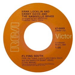 Flying South / Rosalita