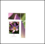 Volition I II III / Oskaréhs Waldtaubenspatziergang