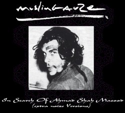 In Search of Ahmad Shah Masood (Extra Noize Versions)