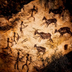 PRIMAL