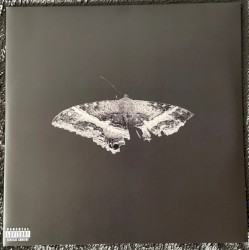 To Pimp a Butterfly