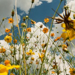 You Are Spring!
