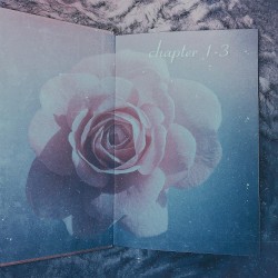 chapter ♥
