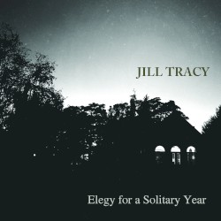 Elegy for a Solitary Year