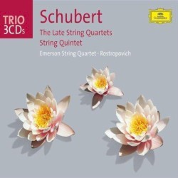 The Late String Quartets / String Quintet