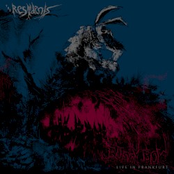 Bunny Boy Live in Frankfurt