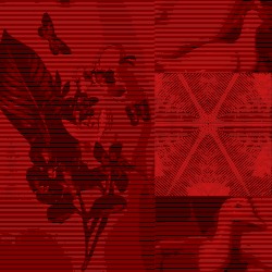 Of Quiet Birds in Circling Flight