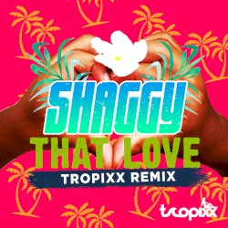 That Love (Tropixx remix)