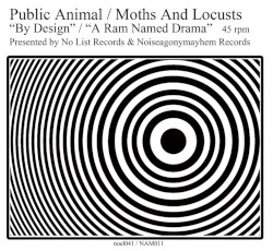 A Ram Named Drama / By Design