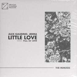 Little Love (Pres. Lil' Love) (The Remixes)