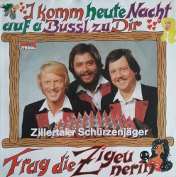 I komm heute Nacht auf a Bussl zu dir