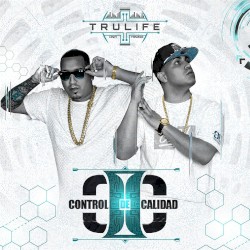 Control de calidad 2