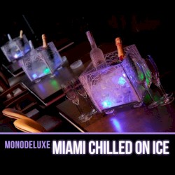 Miami Chilled On Ice