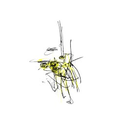 Veapxus