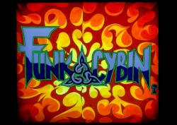 Funkacybin