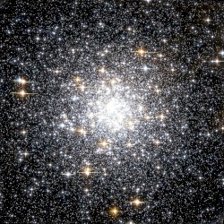 M69