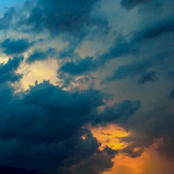 Black Horses of the Sun