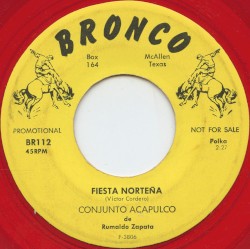 Fiesta norteña / Sueno de amor