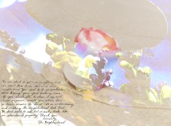 Freeroam 55 :: bongo alert