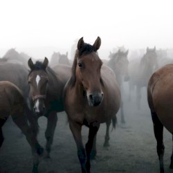 2am in tarragona (wytwäg)- Sunnti Freestyle