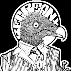 Snakes And Vultures