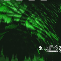 Run Wild (YehMe2 remix)