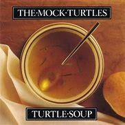Turtle Soup
