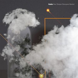 Your Tempo (Tennyson remix)