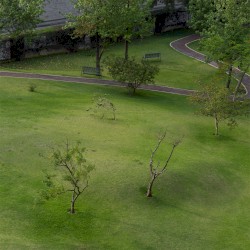 Pies sobre la tierra