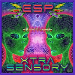 Xtra Sensory