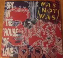 Spy in the House of Love