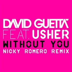 Without You (Nicky Romero remix)