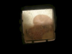 Through a pinhole: an ear, a nose, a throat