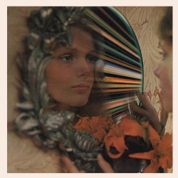 Brown Shark, Red Lion