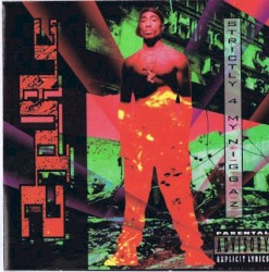 Strictly 4 My N.I.G.G.A.Z…