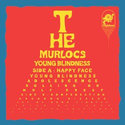 Young Blindness