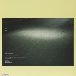 What / If / They Both Could Fly