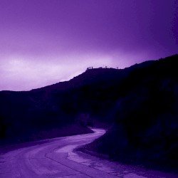 Fervor