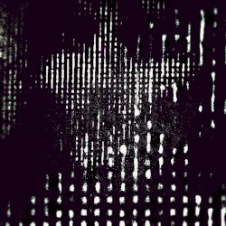 I Don’t Need You to Be Kind