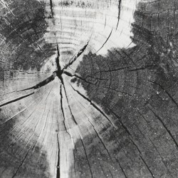 Live at Dachgalerie, München Germany. May 10th 2003