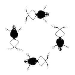 MMXX - 03: For Marietta