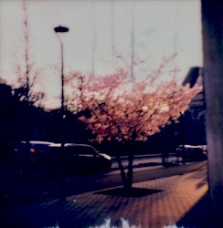 Home Normal Mixtape by Stijn Hüwels